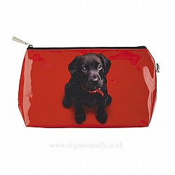 BLACK LABRADOR DOG COIN PURSE